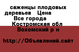 саженцы плодовых деревьев › Цена ­ 6 080 - Все города  »    . Костромская обл.,Вохомский р-н